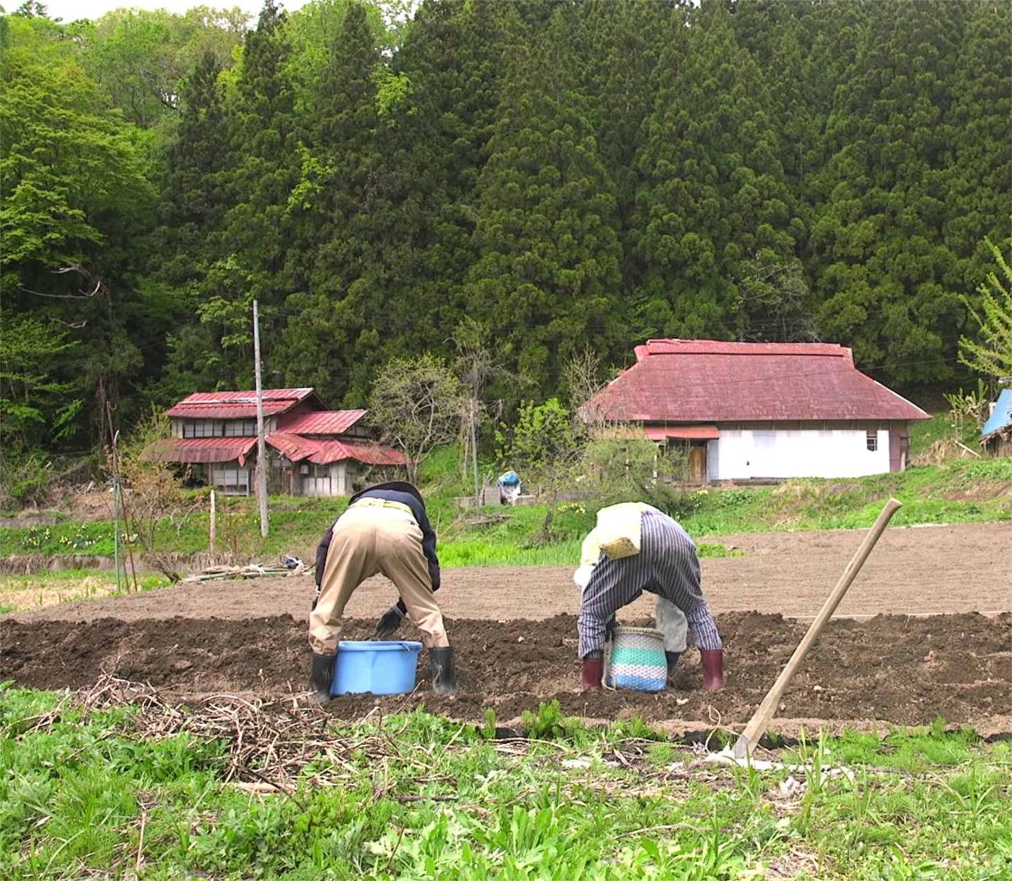 「身土不二」場面写真