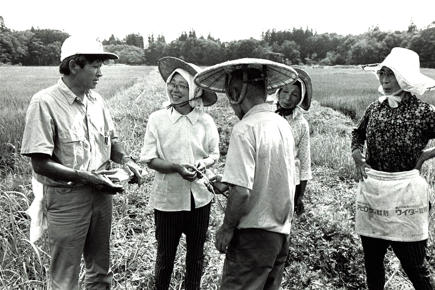 「身土不二」場面写真