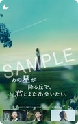 「あの星が降る丘で、君とまた出会いたい。」ムビチケビジュアル