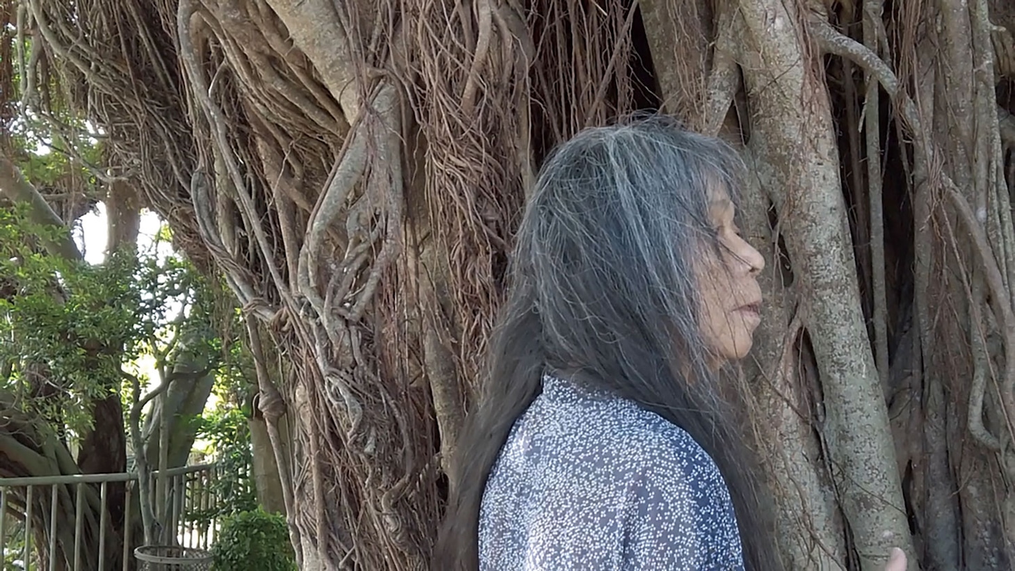 ドキュメンタリー映画「ゆっくり あるく 川村浪子、84歳のダンス場面写真