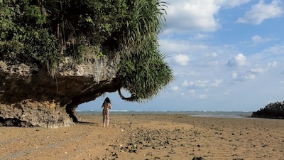 ドキュメンタリー映画「ゆっくり あるく 川村浪子、84歳のダンス場面写真