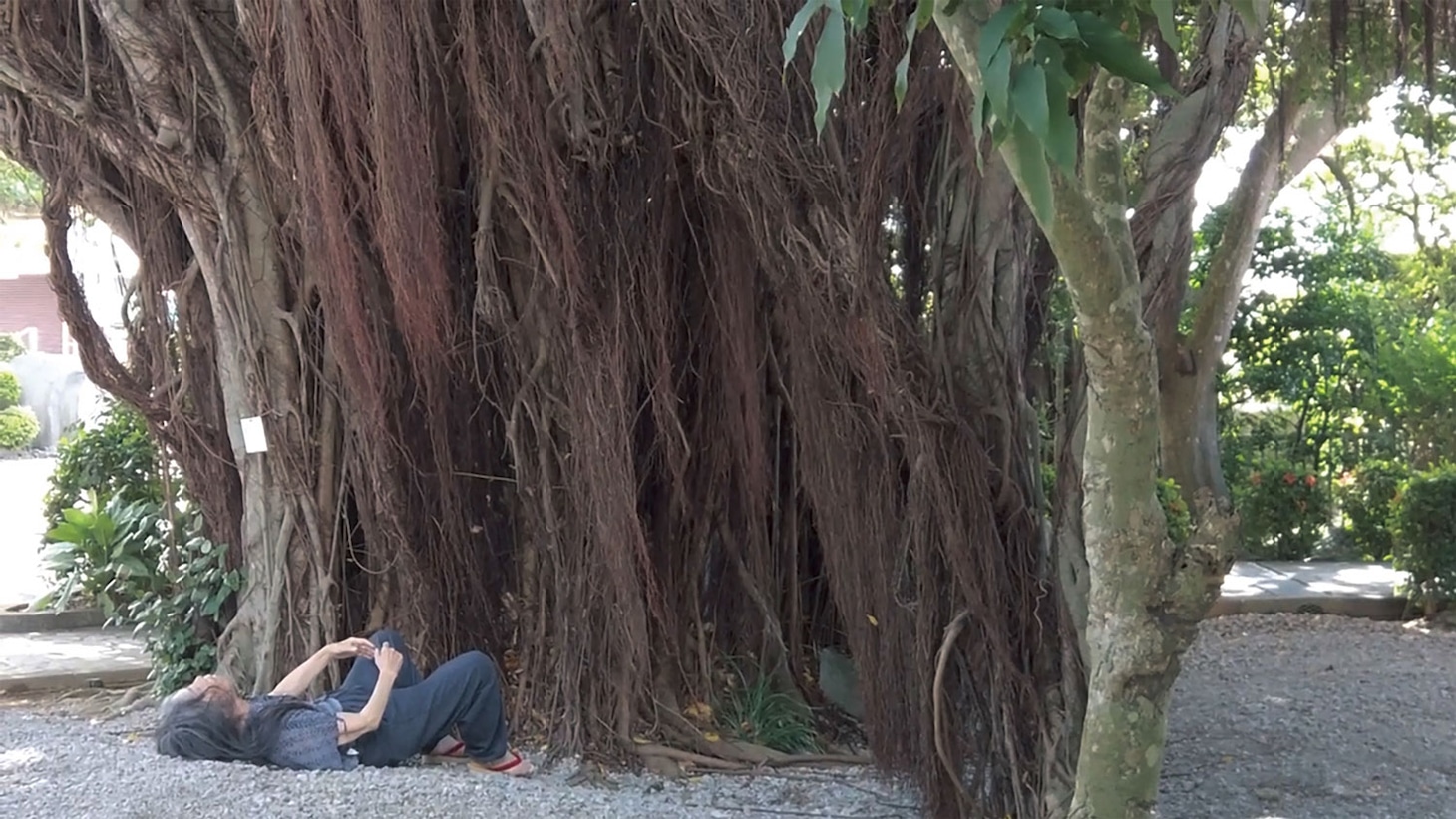 ドキュメンタリー映画「ゆっくり あるく 川村浪子、84歳のダンス場面写真