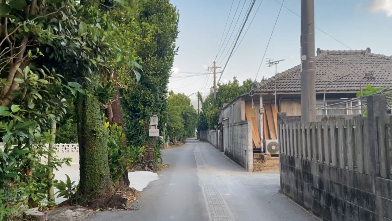 ドキュメンタリー映画「ゆっくり あるく 川村浪子、84歳のダンス場面写真