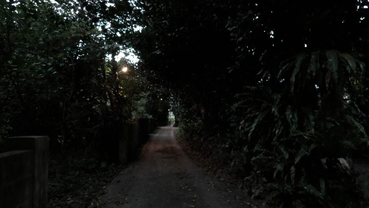 ドキュメンタリー映画「ゆっくり あるく 川村浪子、84歳のダンス場面写真