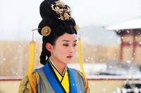 「後宮の涙」のヒロインは平凡な少女から女性宰相まで成り上がる陸貞。演じたのは中国ドラマ「明蘭～才媛の春～」「与鳳行」などで知られるチャオ・リーイン（趙麗穎）