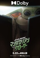 「スター・ウォーズ／マンダロリアン・アンド・グローグー」ポスタービジュアル（Dolby Cinema）