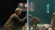 「親愛なる八本脚の友だち」場面写真。5月8日にNetflixで独占配信される