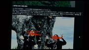 映画「口に関するアンケート」場面写真