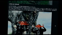 板垣李光人が狂気の表情…「口に関するアンケート」場面写真、幕間映像が解禁