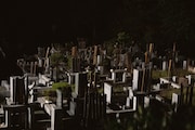 映画「口に関するアンケート」場面写真