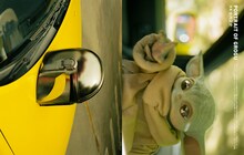 「スター・ウォーズ」新作映画を特集したSWITCH本日発売、グローグーの撮り下ろし収録