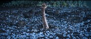 地中から這い上がり九死に一生を得る薛芳菲。演じたのは中国ドラマ「コウラン伝 始皇帝の母」「尚食～美味なる恋は紫禁城で～」などをヒットに導いてきたウー・ジンイエン（呉謹言）