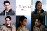 松村北斗と今田美桜がダブル主演を務める映画「白鳥とコウモリ」新キャスト。上段左から柄本佑、吉田羊。下段左から前原滉、井川遥、風吹ジュン