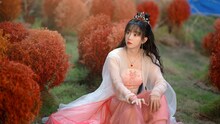 神仙スペシャリストが恋を禁じられた花神に、中国ドラマ「花散る季節、君に愛を誓う」DVD発売