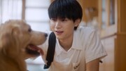 中国ドラマ「十二通の手紙～想いは時を越えて～」などで知られるジョウ・イーラン（周翊然）。「向日葵を追いかける太陽」ではクールに見えて優しい少年・張陸譲（チャン・ルーラン）を演じた