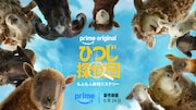 映画「ひつじ探偵団」プライムビデオで独占配信、6月24日から