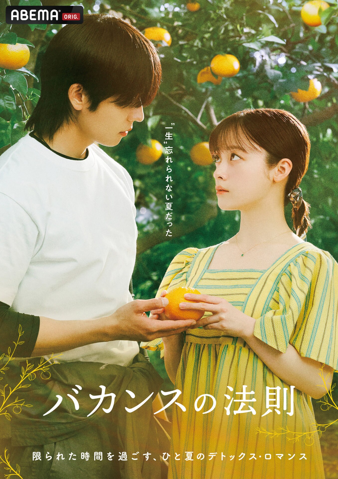 橋本環奈×チェ・ジョンヒョプのドラマ「バカンスの法則」配信、東村アキコが原作・脚本・監督