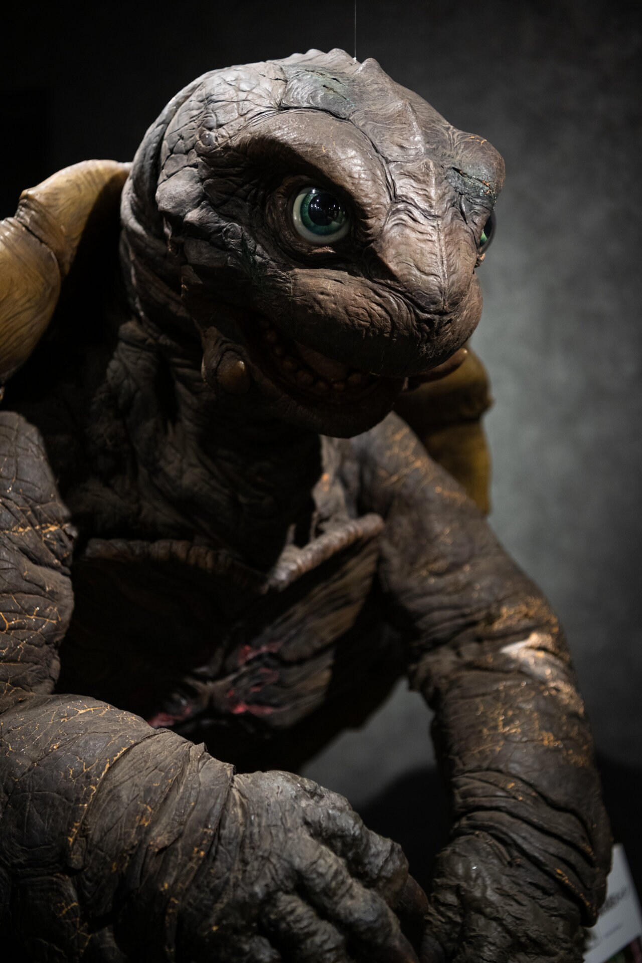 小さき勇者たち GAMERA」に登場したトト ©2006「小さき勇者たち