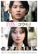 松村北斗×今田美桜が禁断バディに「白鳥とコウモリ」予告、大森元貴の主題歌が心を揺さぶる