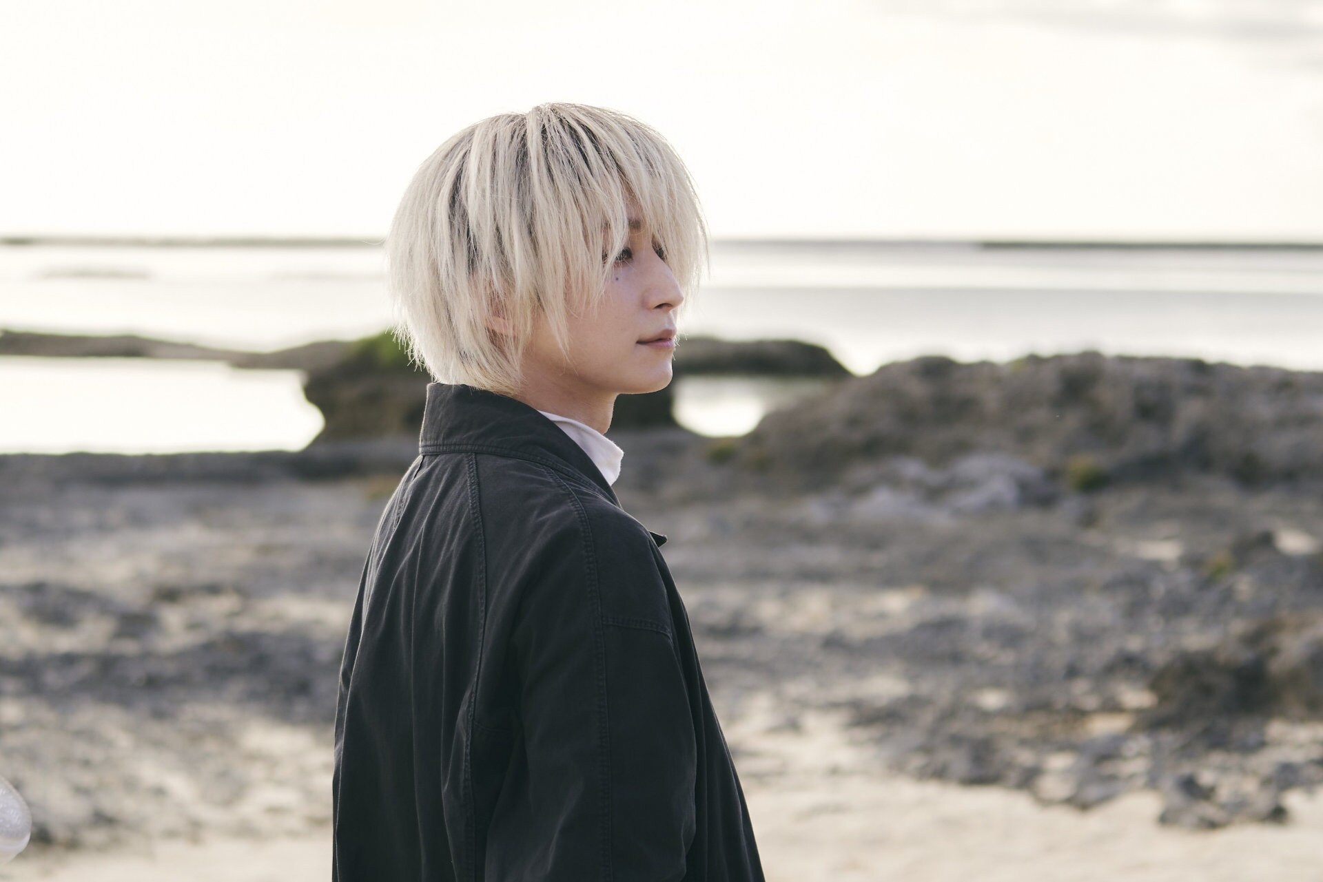 ヒグチユウコと大島依提亜が「ルイス・ウェイン」アートポスターを共作