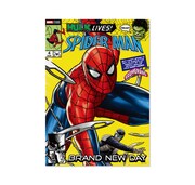 映画「スパイダーマン：ブランド・ニュー・デイ」HappyくじG賞のポスター