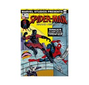 映画「スパイダーマン：ブランド・ニュー・デイ」HappyくじG賞のポスター