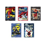 映画「スパイダーマン：ブランド・ニュー・デイ」HappyくじI賞のカードセット