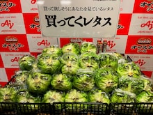 藤原竜也の顔面に包まれたレタス発売
