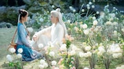 中国ドラマ「瓔珞～紫禁城に燃ゆる逆襲の王妃～」「墨雨雲間～美しき復讐～」のユー・ジョン（于正）が制作チームとともにオリジナル脚本で挑んだ「臨江仙 ～宿敵となった愛しき人～」場面写真。バイ・ルー（白鹿）とツォン・シュンシー（曾舜晞）が共演した
