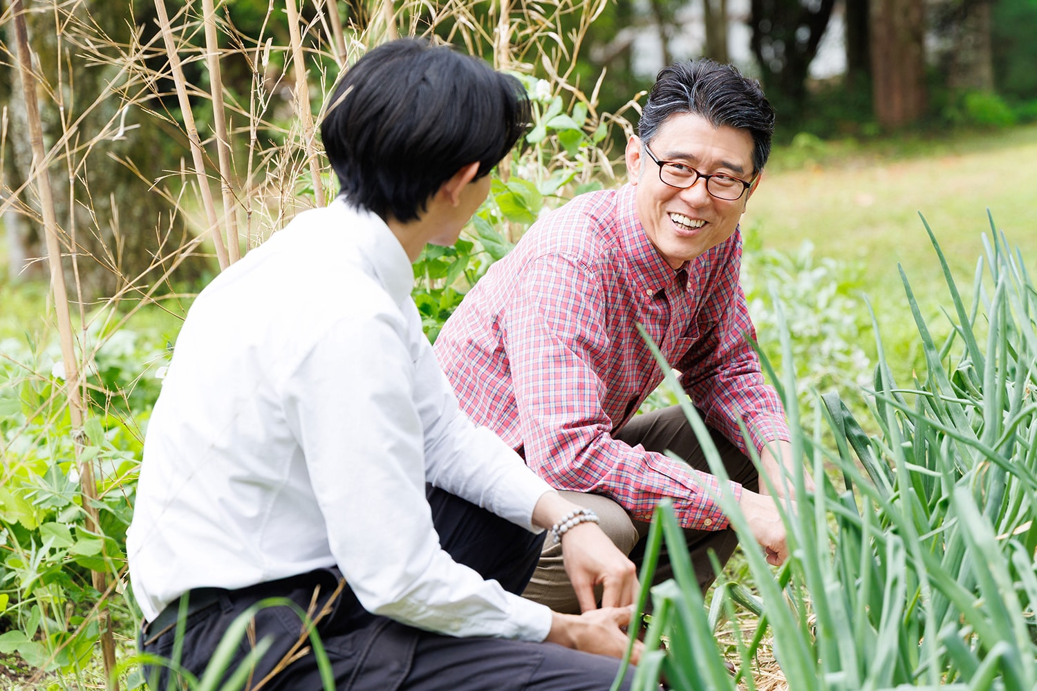 ネプチューン原田が天狗の父親役、東京03角田が天狗の血を引くしゃべる犬役で続投