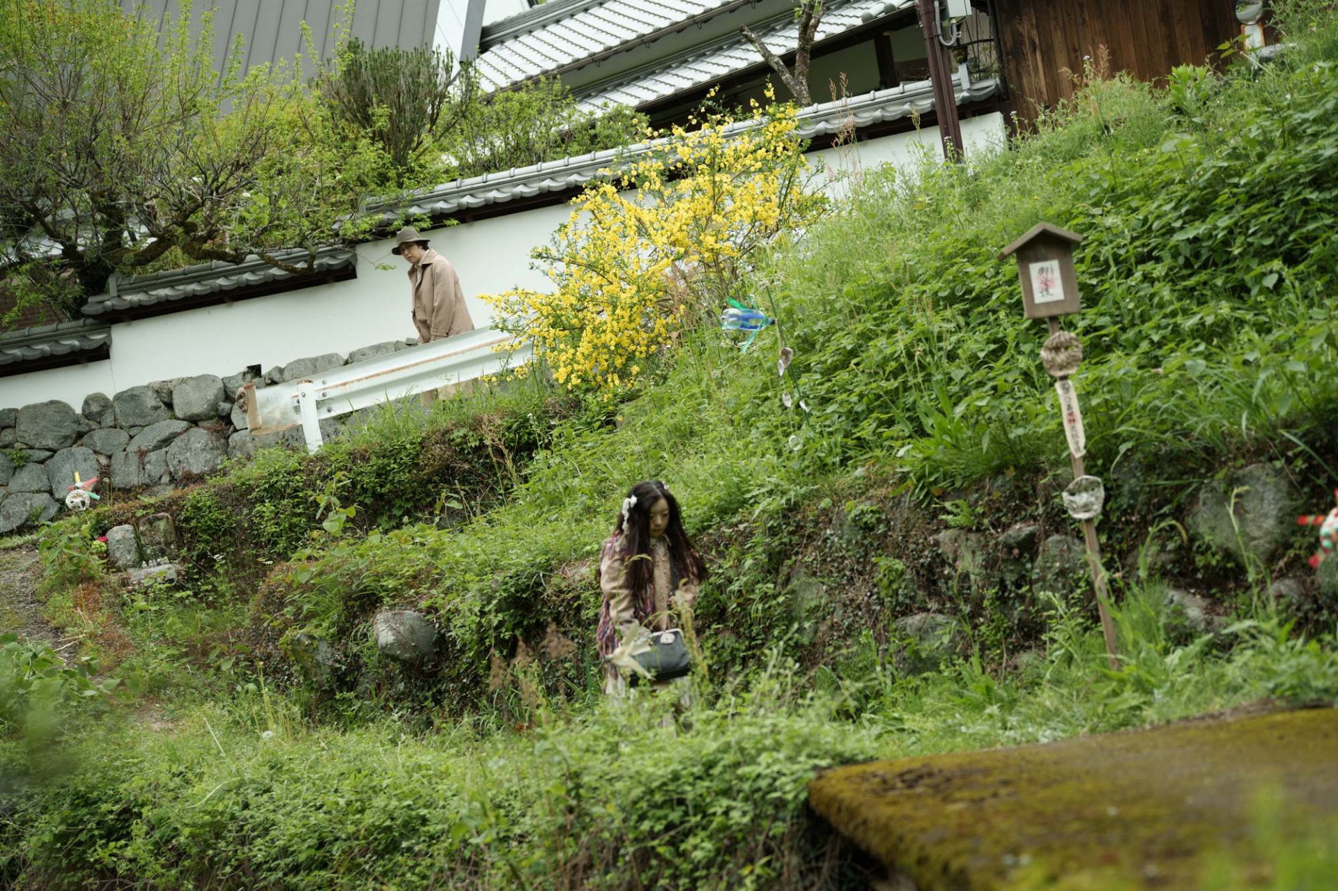 八つ墓村 白背 映画「八つ墓村」新場面写真 [画像・動画ギャラリー 7/25] - 映画ナタリー