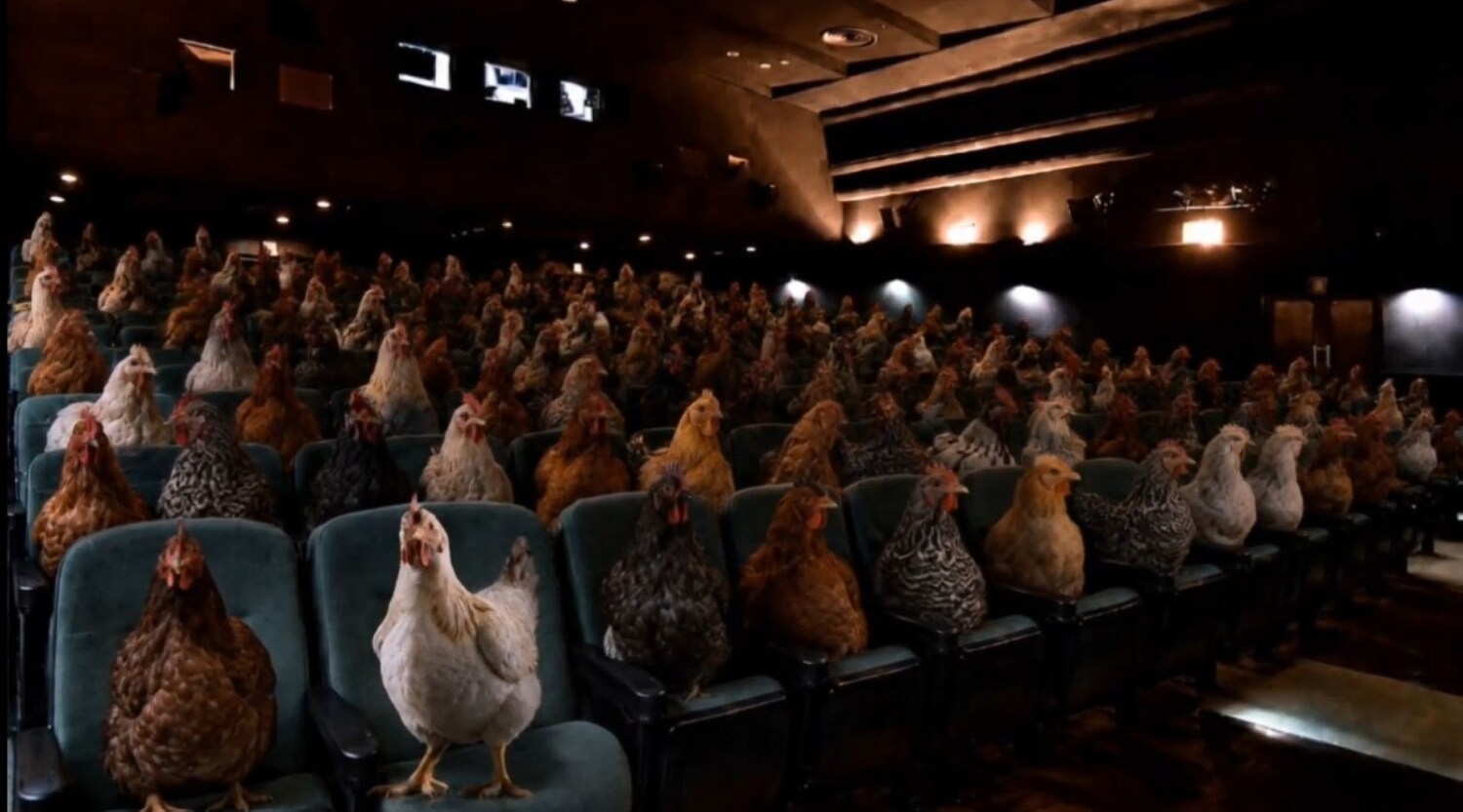 映画「雌鶏」酉年生まれは割引料金に、“ポスターの雌鶏に一目惚れ”した