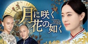 2017年に中国時代劇ドラマの視聴率でナンバーワンを獲得し、中国で社会現象となった「月に咲く花の如く」（原題「那年花開月正圓」）ビジュアル。スン・リー（孫儷）が主人公の周瑩を演じた