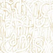 [大沢伸一] 次世代きつねうどん新発売！