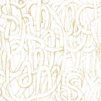 よく見るとウドンな新作ジャケット。ちなみに大沢伸一は2月7日で40歳になりました。