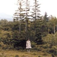 楽曲が持つ独特の世界観はPVにも反映されている。