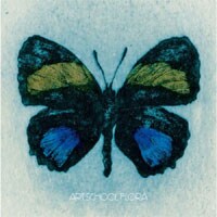 写真はART-SCHOOLの「Flora」。初回限定盤DVDにはART-SCHOOLの世界を知る上で欠かせない映像集を収録。