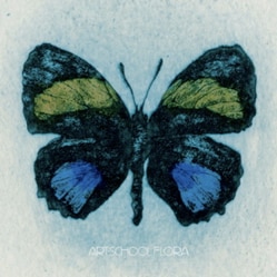 最新アルバム「Flora」は、いよいよ2月28日に発売！