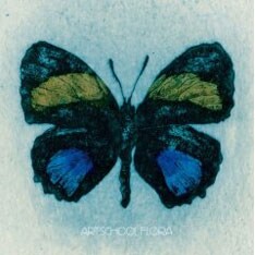 「Flora」の初回盤特典DVDに収録された「テュペロ・ハニー（LIVEバージョン）」は木下理樹監督作品。