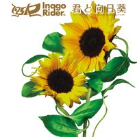 今年2月にリリースされた最新シングル「君と向日葵」。これまでの彼らとは一味違うアプローチに挑戦した意欲作。