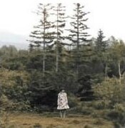 [湯川潮音] 噂の野外フェス「RoR」に出演