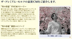 色づく桜＆歌うYAZAWAという、実に絵になる組み合わせ。