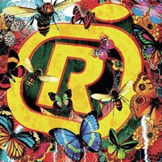 セルフタイトルアルバム「ORANGE RANGE」を経て、新章へ突入したレンジ。今年もリリースラッシュに期待しよう。