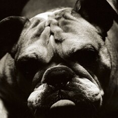 1月リリースの最新アルバム「Everything you know is wrong」をひっさげて、熱い全国ツアーを終えたばかりのチャコフィル。突然の解散発表は残念な限りだ。