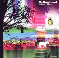 2006年8月リリースの2枚組アルバム「Velocity Days」。復刻1stのDVDに収録されるelllie（山川恵里佳）参加の「MABATAKI Rewind」はこのアルバムに収められている。