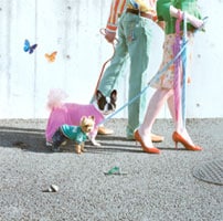 写真はシングル「大阪LOVERS」のジャケット。この犬たちもPV撮影現場を和ませている。