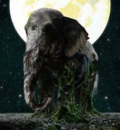 幻想的な雰囲気の最新アルバム「ASCENSION」初回盤ジャケット。