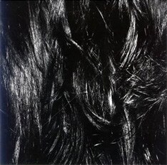 昨年8月にリリースされたDISCO TWINSのアルバム「TWINS DISCO」。吉川晃司をはじめ、ギターウルフのセイジやライムスターの宇多丸、Polarisのオオヤユウスケらがゲスト参加している。