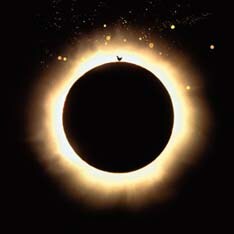 明暗のコントラストが美しい仕上がりとなった「コロナ」のジャケット写真。