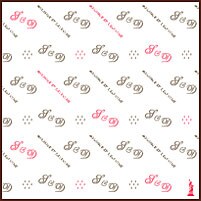 写真はsolange et delphineのシングル「BROAD AWAY」。昨年、台湾・台北で行われたエイプリルズのライブにもHASEがサポートメンバーで参加した。